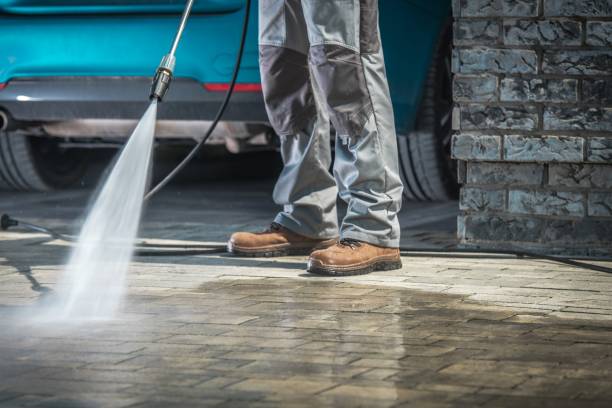 Best Gutter Cleaning  in Brownsville, FL