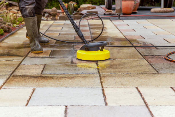 Best Driveway Pressure Washing  in Brownsville, FL