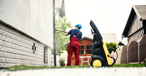 Best Roof Washing  in Brownsville, FL